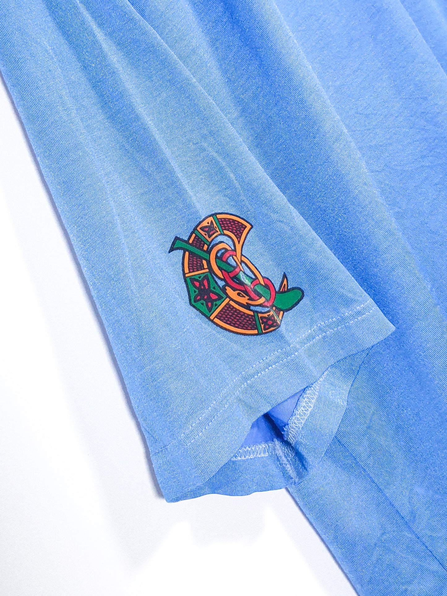 An Ríocht/Down 1990s (M) - Match Worn #12