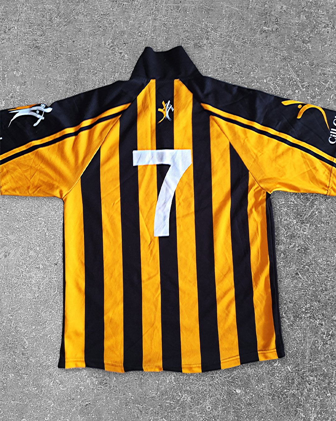 AUCTION ON JULY 9TH: Kilkenny 2004 (L) - Match Worn - JJ Delaney #7