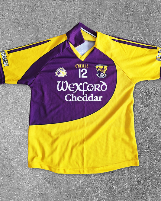 Wexford 2008 (L) - Match Worn - Diarmuid Lyng #12